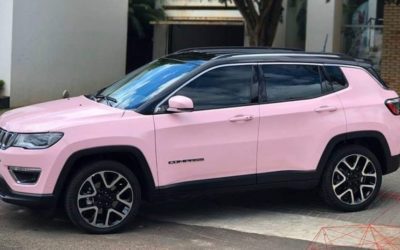 O PODER DO ROSA: Conheça o Ultra Eldorado Pink