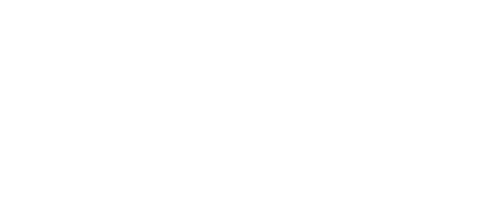 PPF Logo | Alltak Adesivos